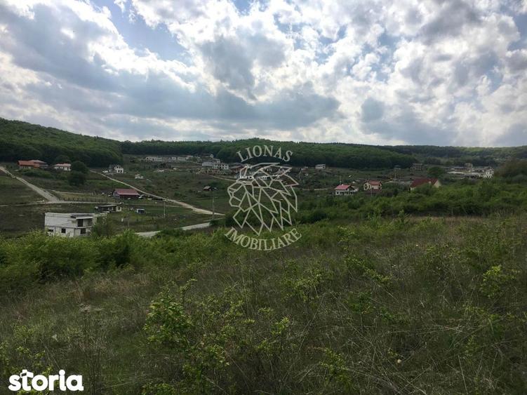 Teren intravilan 700 mp-ideal casa-Dealul Jelnei - 2