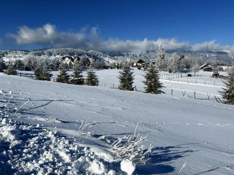 Teren satul Sirnea, intravilan, deschidere 120 m la drum asfaltat, - 3