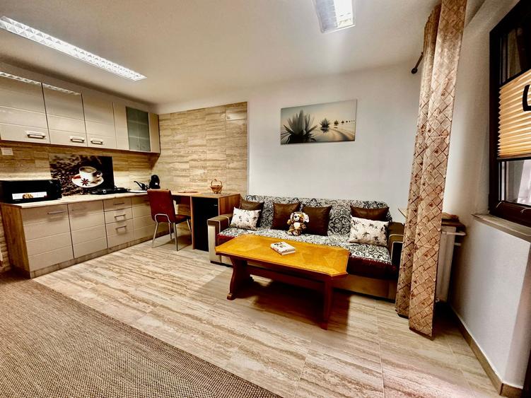 Inchiriez spatiu comercial cu acces din strada principala - 1