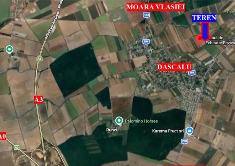Teren extravilan Dascalu, 10.000 mp - 1