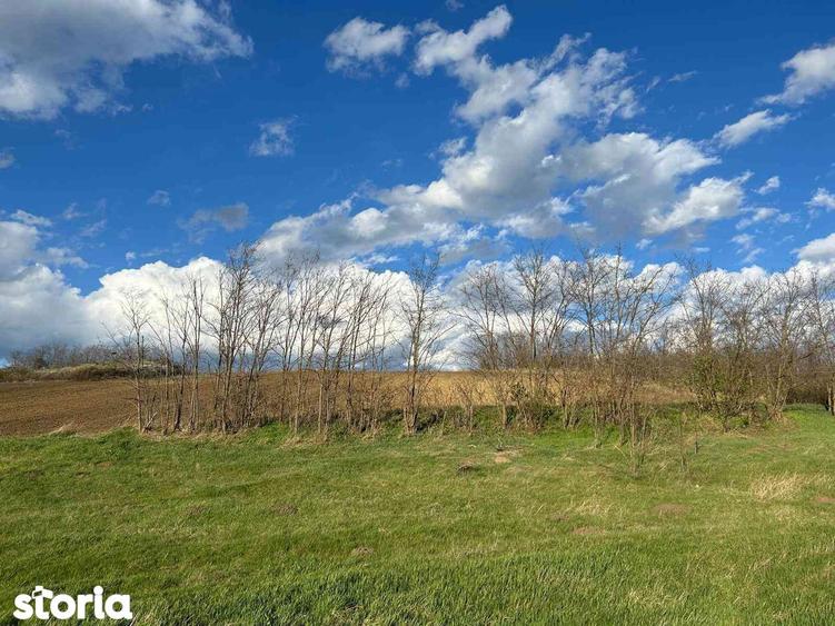 Parcele teren 430 mp extravilan Rediu loturi ideale pt investi?ie - 7