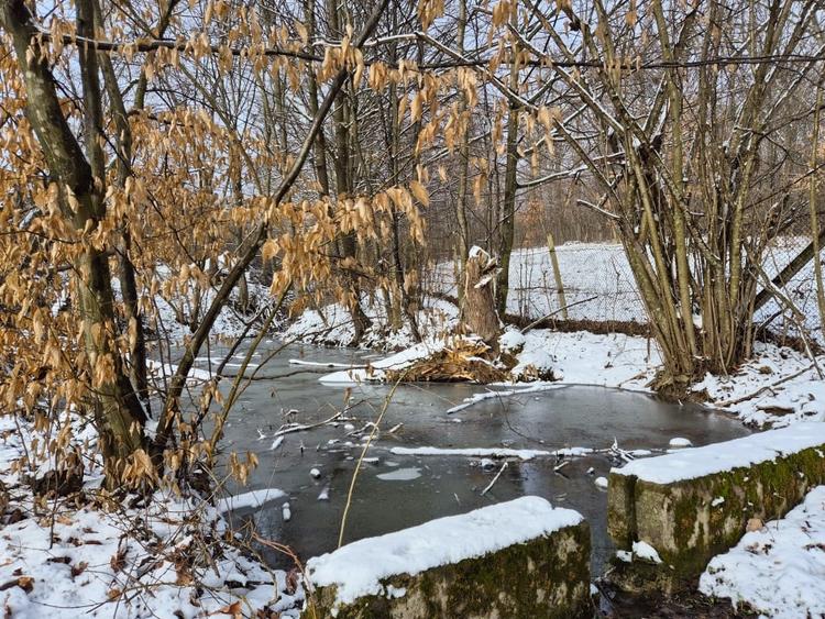 Moșia boierească din vârf de deal, Scorțeni - Prahova, comision 0% - 16