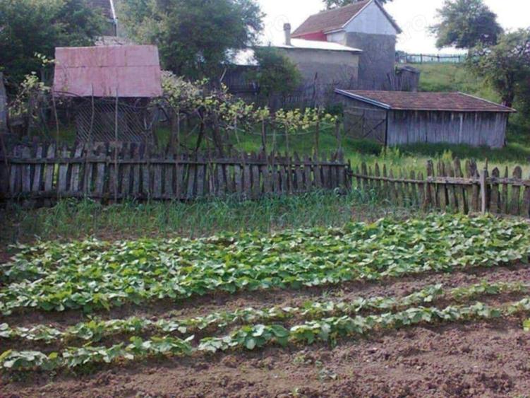 Casa de vanzare ?opotul Nou - 6