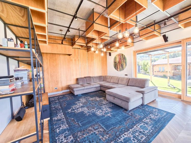 Vila  spectaculoasa de vanzare in Faget - 8