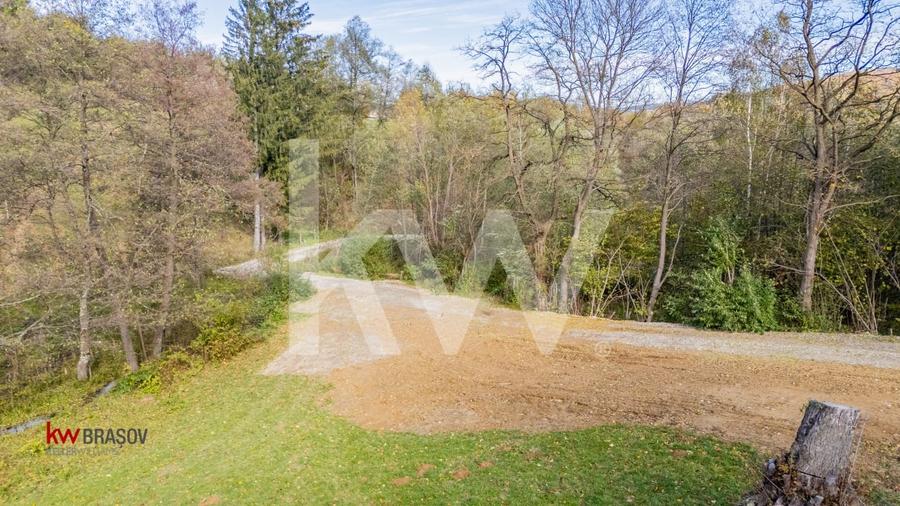 Vanzare teren intravilan 37723 mp Zarnesti Tohanita - 14