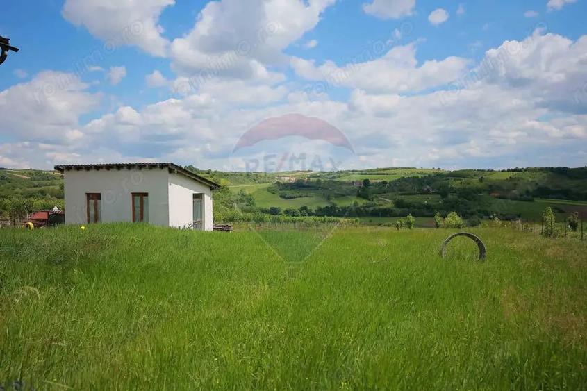 Casa cu 3 camere, anexa ?i 2042 mp teren de vanzare, in Calea Mare - 6