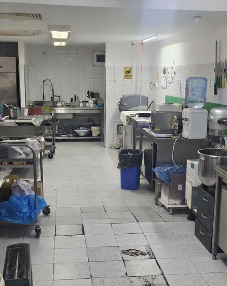 Spatiu pretabil cofetarie-laborator Eroii Revolutiei( Bellu) - 9