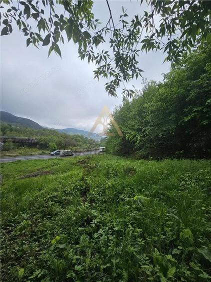 TEREN PENTRU BUSSINESS 2842 MP DE VANZARE IN STATIUNEA TARGU OCNA - 3