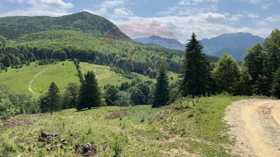 Teren 6000 mp, Vama Buzaului - vedere către Ciucaș - 7