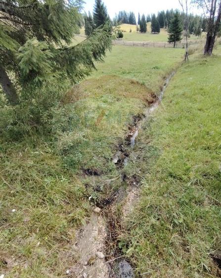 Teren de 14318m.p. in Paltinis, la 100m de strada Princi... - 1