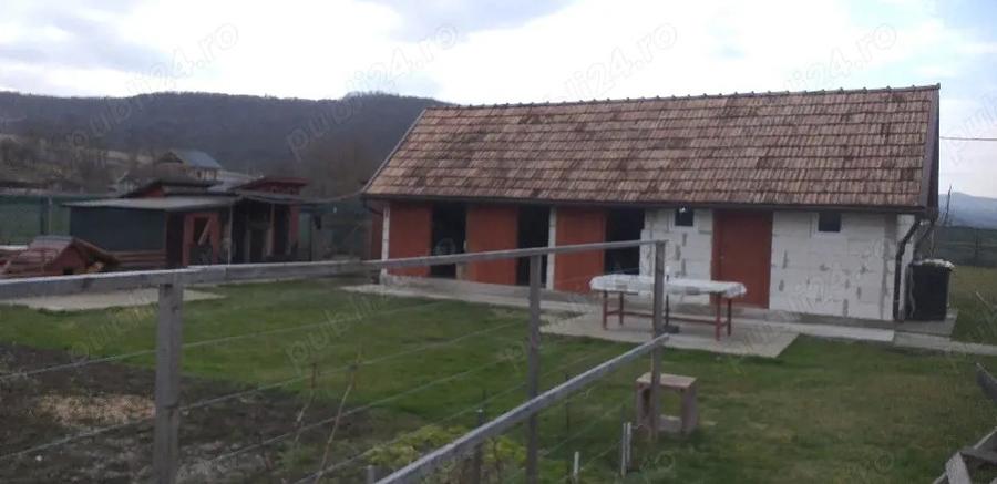 Casa de vanzare in Diviciori Mari - 4