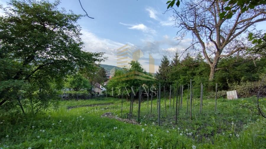 Casa alipita de vanzare | Gruia | Teren 890mp - 11