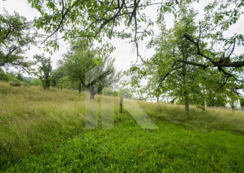 Teren investitie Bran - Predelut, la 2 km de Castelul Bran - 9