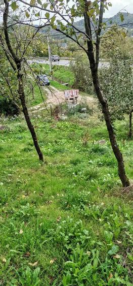 Casa de vanzare - teren 2357 mp in comuna Pietrari - 7