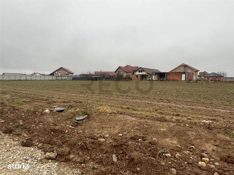 RECO Teren intravilan -loc de casa sau servicii 600 mp Cheriu - 6