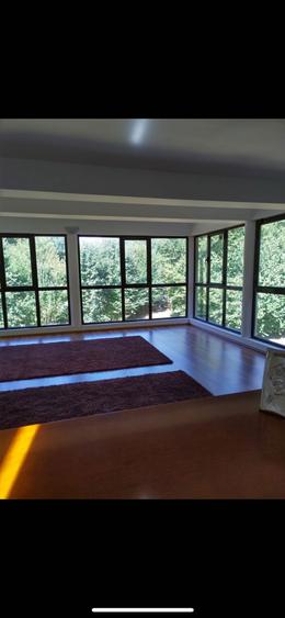 vila in padure curte mare , loc. Mislea, Prahova - 4