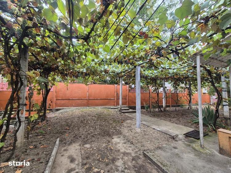 Casa individuala cu teren generos Aleea Motrului - 3
