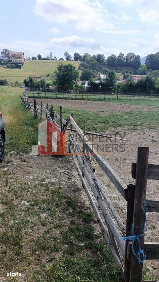 Teren 1.500 mp Sohodol Bran Vedere Panoramica Bucegi - 4