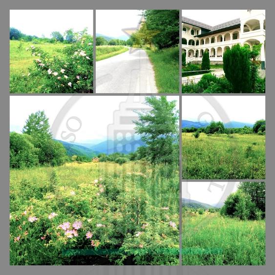 Teren extravilan  potențial turistic ridicat – Dejani, Recea, Munții Făgăraș - 1