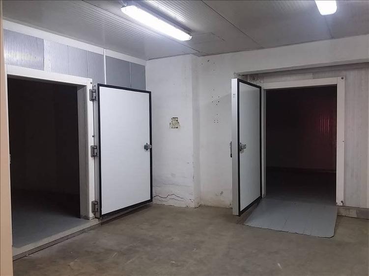 Spatii frigorifice refrigerare/congelare - 1