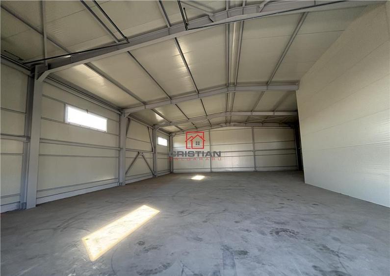 Depozit/hala/spatiu industrial Chitila - Centura - Rudeni - 6