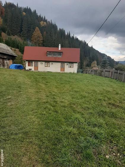 Se vinde casa urgent - 4