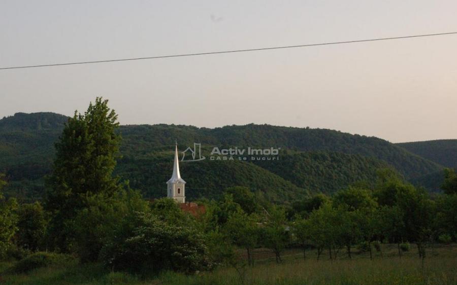 Casa de in Uileacul de Beius gospodarie traditionala,... - 5