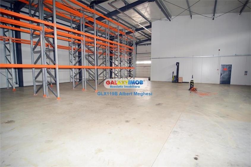 Inchiriere hala 572 mp Chiajna - 14