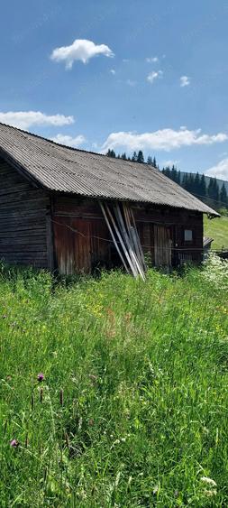 Vand casa 64mp+grajd 35mp+teren 6100mp, curent, apa, internet, deschidere la drum, in sat Glodu - 4