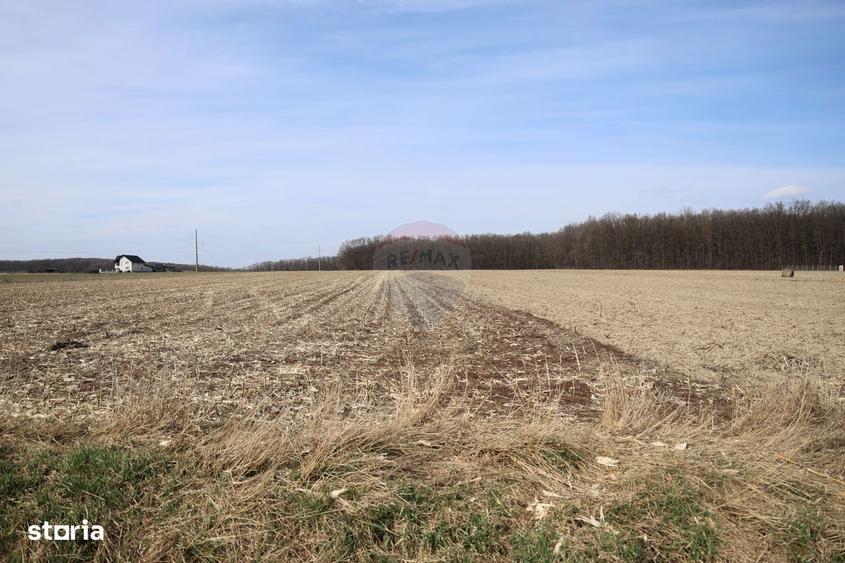 Teren 9,740mp Suceava / Strada Principala - 4
