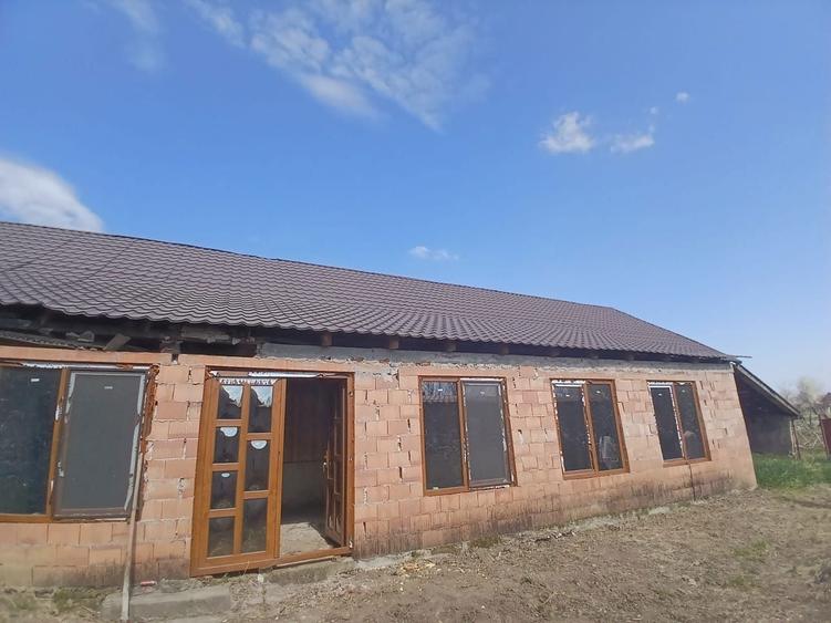 Vand casa sat Pilu - 5