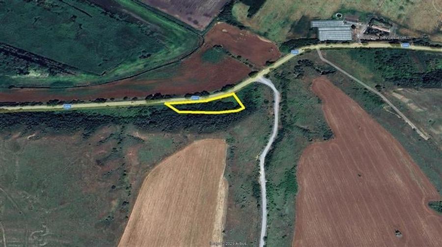 Teren de vanzare in Delta Dunarii loc. Nufaru - 4