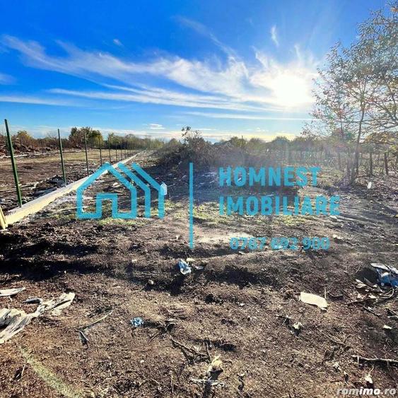 Stefanestii de Jos iIlfov | Teren 996.08 mp - 6