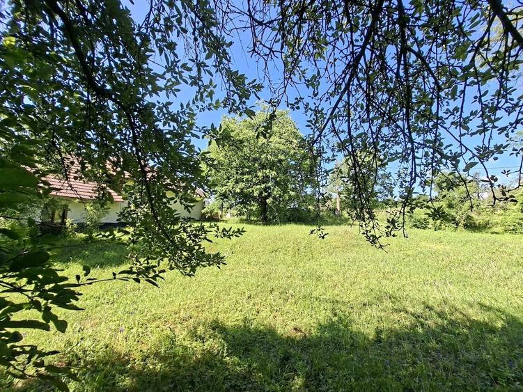 Oaza de lini?te ?i natura pura | Teren de vanzare in Runcu - Dobri?a, Gorj - 7