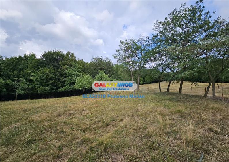 Teren 2680 m situat la Curtea de Arges cu iesire spre Trans - 5