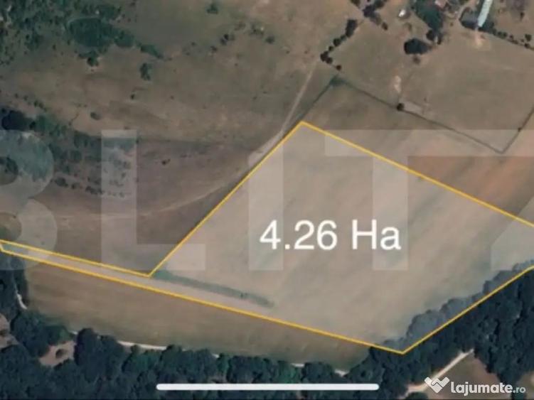 Teren extravilan, 42.600 mp, Sebe? - 1
