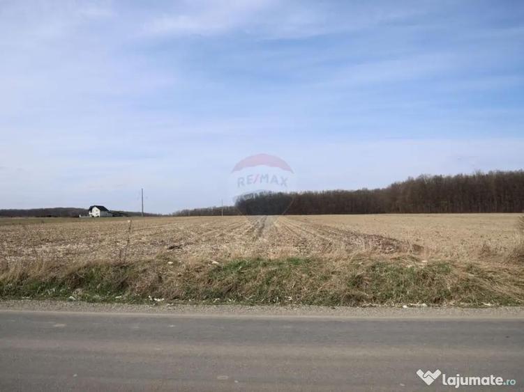 Teren 9,740mp Suceava / Strada Principala - 8