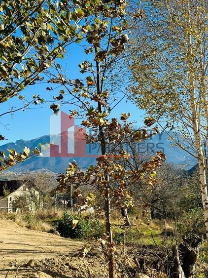 Teren Bran / Predelut cu priveliste 1840mp - 13