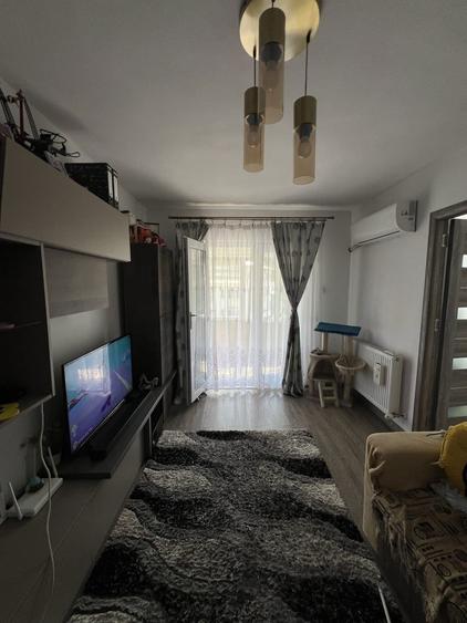 Apartament Brezoi - 1
