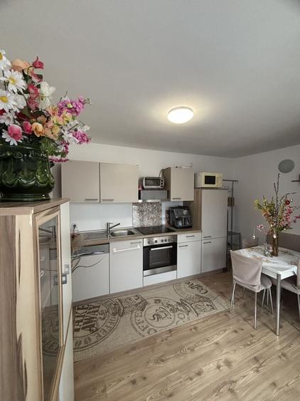 Casa de vânzare în zona Girocului - 21