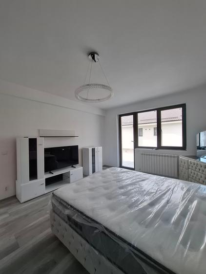 Vila Individuala Cart Latin - 12