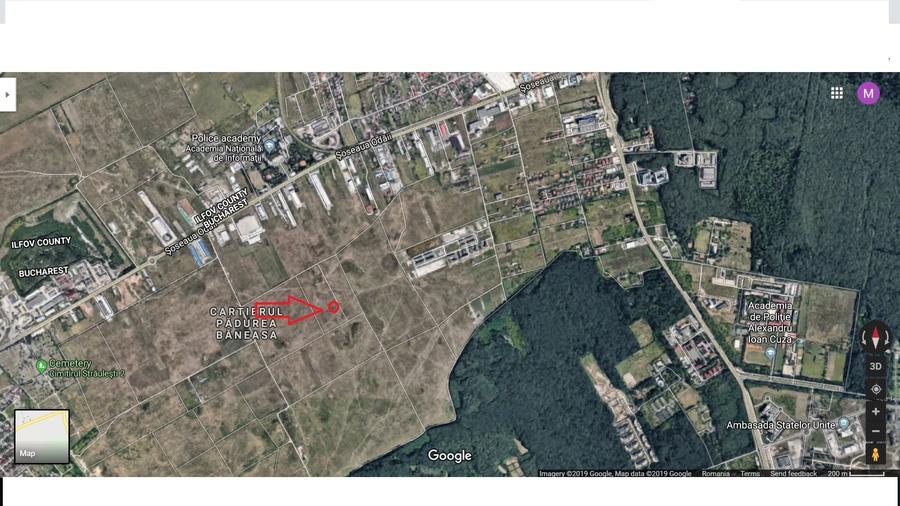 Pădurea Băneasa - 2