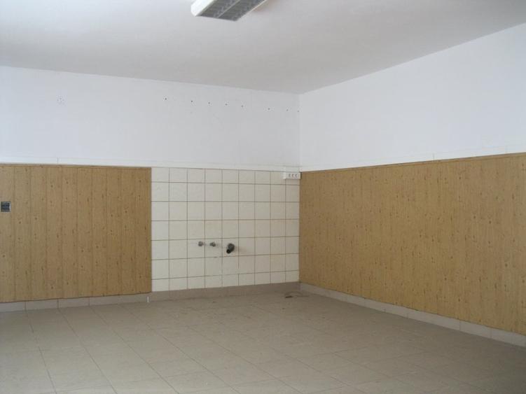 HALE SI SPATIU ADMINISTRATIV DE INCHIRIAT ZONA GARII SIBIU - 10