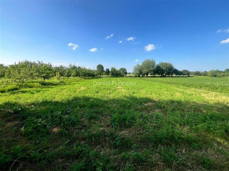 Teren Construcții intravilan de 1206 mp, în Hărman Teren Construcții intravilan de 1206 mp, în Hărman