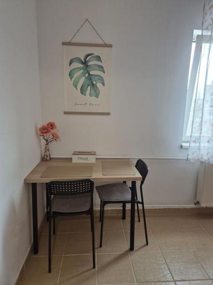 Garsoniera decomandata bloc 2009 Parcul Brancusi, Valea Ialomitei - 12