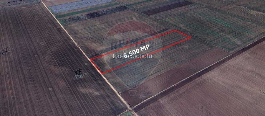 Teren extravilan de vanzare - 6.500 mp, Harman,  Brasov