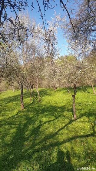 2 camere, 4000 mp,langa lacul Vidraru - 2