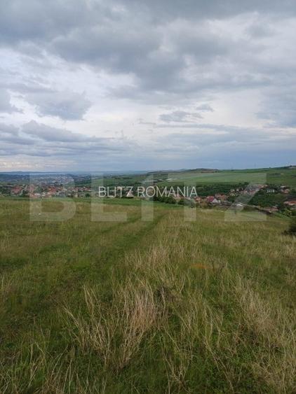 Teren extravilan 1248 mp in Copaceni! Oportunitate investitie!