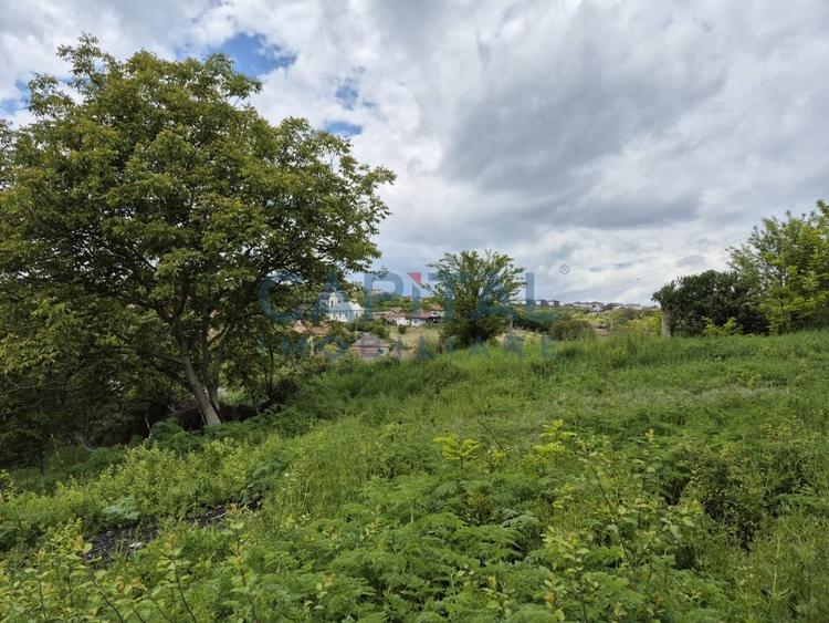 Teren intravilan, 1663 mp, central Dezmir - 6