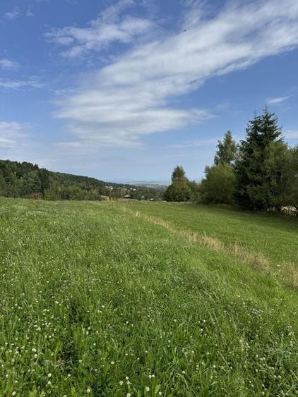 Teren de vanzare Rasca - 1